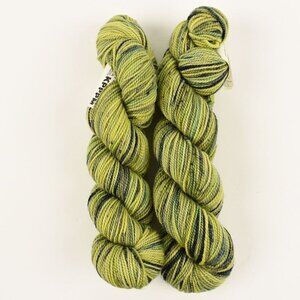 Koigu KPPPM Yarn 2 Skeins Merino Wool Green Variegated P822